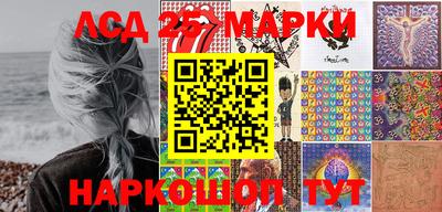 гидропоника Краснознаменск