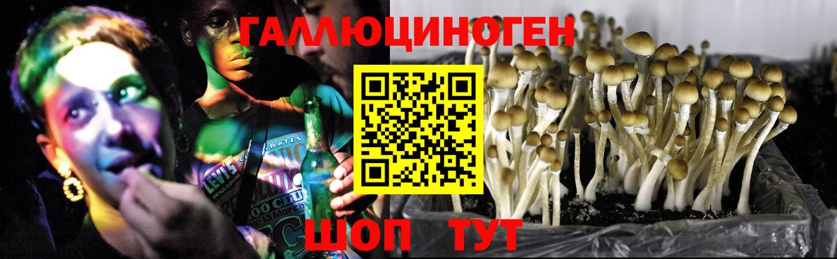 Псилоцибиновые грибы Cubensis Изобильный