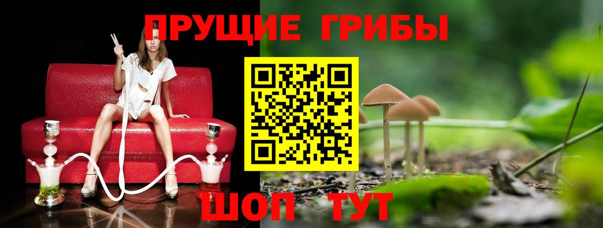 Изобильный  Псилоцибиновые грибы Psilocybe  Вход с VPN 